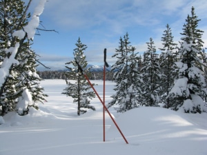 Snowy Meadow with XC Ski Poles | Tweedsmuir Ski Club