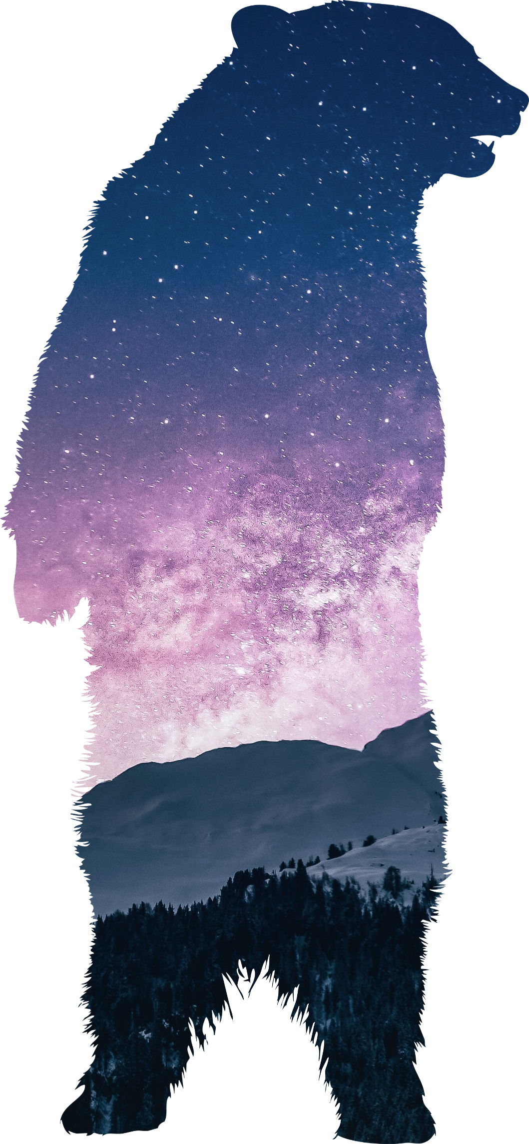 Silhouette of a standing bear with a starry mountain vista behind