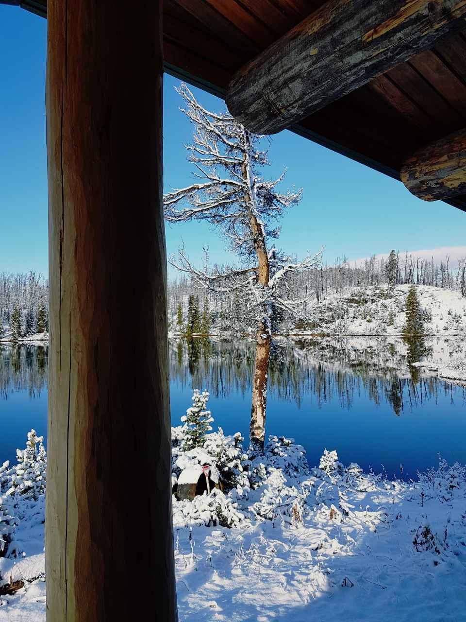 View from the Overnight Cabin at Tweedsmuir Ski Club